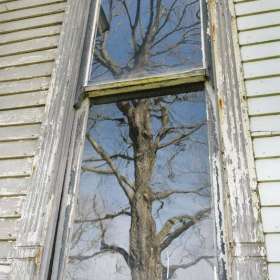 Graham_Kevin.jpg-nggid017-ngg0dyn-533x800x100-00f0w010c011r110f110r010t010