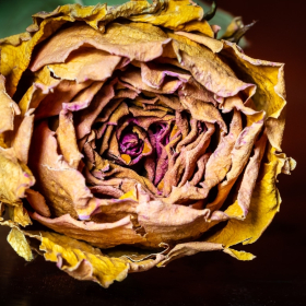 john-mott-forgottenobjects-3