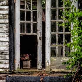 Forgotten Objects