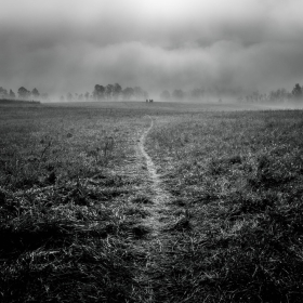 Jo-Fields-1