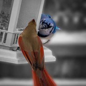 Diane-Burgett-BPG-Gallery-Wall-2