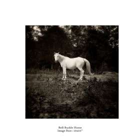 Bell-Buckle-Horse