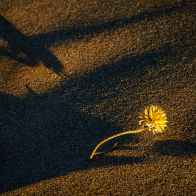 Bob-McReynolds-Its-all-about-the-light-3