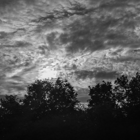 Cathy_Coyne-Its_All_About_Light-3-3365