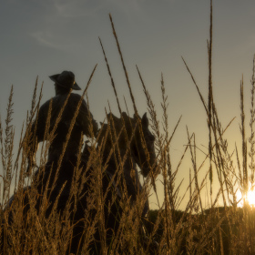 Connie-Cole-Its-all-about-the-light-3