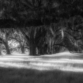 Al-Wood-Its-All-About-Light-1