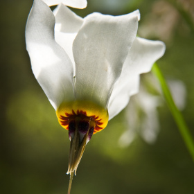 DurwoodEdwards-Its-All-About-The-Light-2