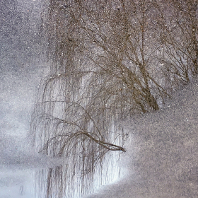 Janis-Tomanek-Its-All-About-the-Light-2