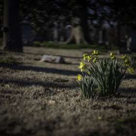 Al-Wood-Mt.-Olivet-Outing-1