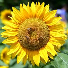 Darek-Baker-Lucky-Ladd-Farms-Outing-2