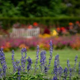 Diane-Burgett-Cheekwood-Outing-2