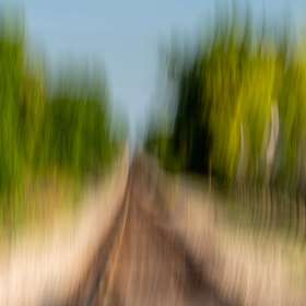 Diane-Burgett-Dickson-TN-Scavenger-Hunt-Outing-1