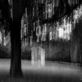 Diane-Burgett-Florence-AL-Outing