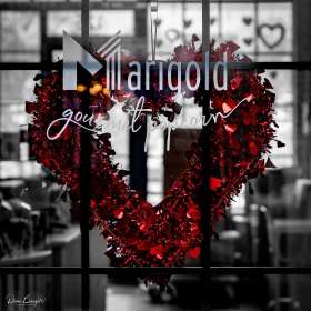 Diane-Burgett-LL-Market-Outing-2