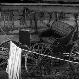 Diane Burgett - Collinsville - June 2026 - BPG Outing - Image 1