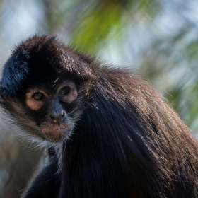 Diane Burgett - Nashville Zoo - March 2026 - BPG Outing - Image 3