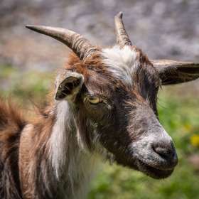 Duane-Miller-Granville-Outing