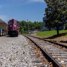 Elizabeth-Stead-Clarksville-Scavengers-Hunt-Outing-1