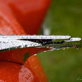 Lyra-Hankins-Alabama-Car-Show-Outing
