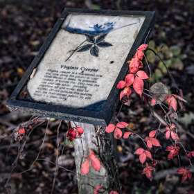 Ray-Wong-Long-Hunter-Stte-Park-Outing-1