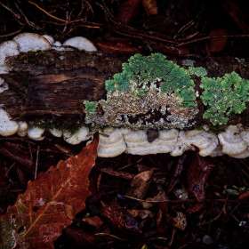 Rick-Borchert-Long-Hunter-State-Park-Outing-1