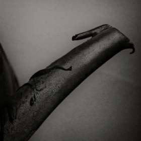 Rick-Borchert-Marathon-Village-Outing-1