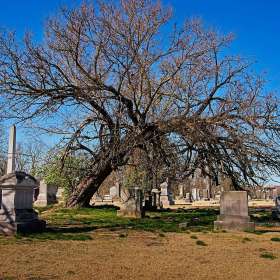 Rick-Borchert-Mount-Olivet-Cementery-Outing-2
