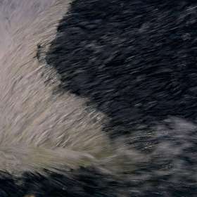 Rick-Borchert-Old-Stone-Fort-Outing-1