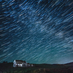 Bert Laws - Intermediate Level, Open Category