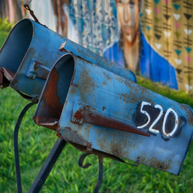 Betty Cowart - Intermediate Level, Open Category