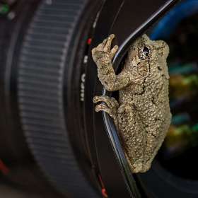 Martin Cregg - Closeups (1st Place)