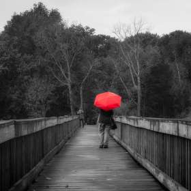 Diane-Burgett-Bridges-1st-Place-February 2025 POM/POY