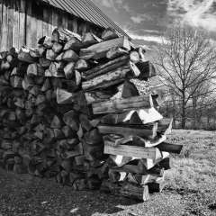 thumbs_LeipersForkWoodpile_0720-
