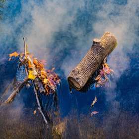 Duane-Miller_WCPL2021