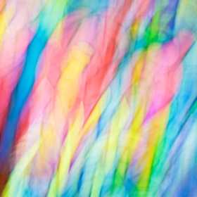 Weekly Challenge - Intentional Blur