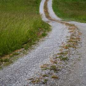 Weekly Challenge - Leading Lines