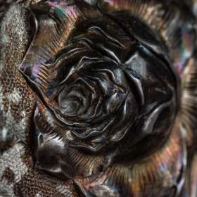Bobby-Dawson-Close-Up-Photography-1