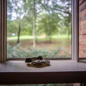 Al-Wood-Still-Life-2