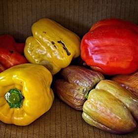12th-St-South-Peppers-In-A-Box_R732959