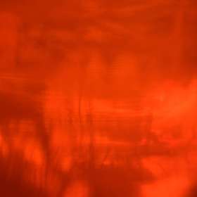Kevin-Graham-Red-or-Yellow-1