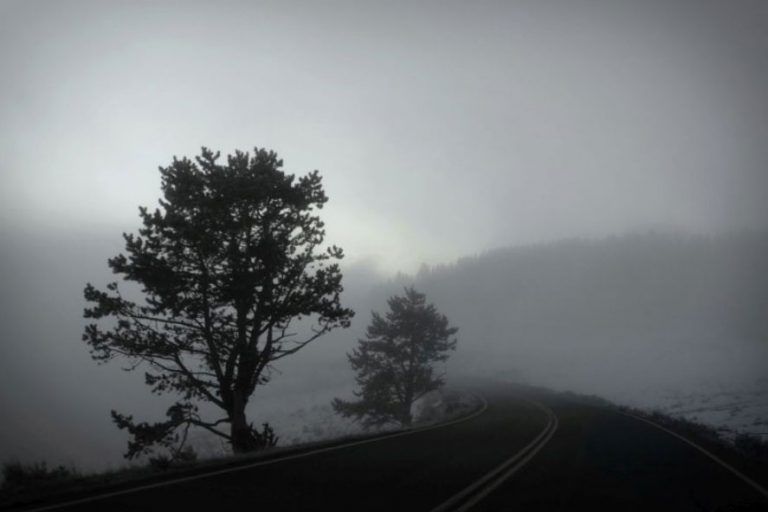 Foggy Road