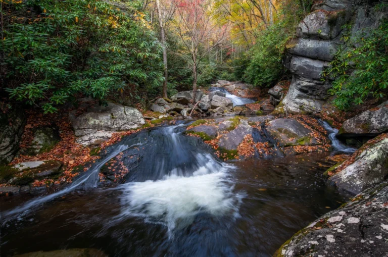 Caleb McKenny - The Smokies