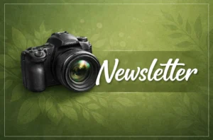 BPG Newsletter Thumbnail