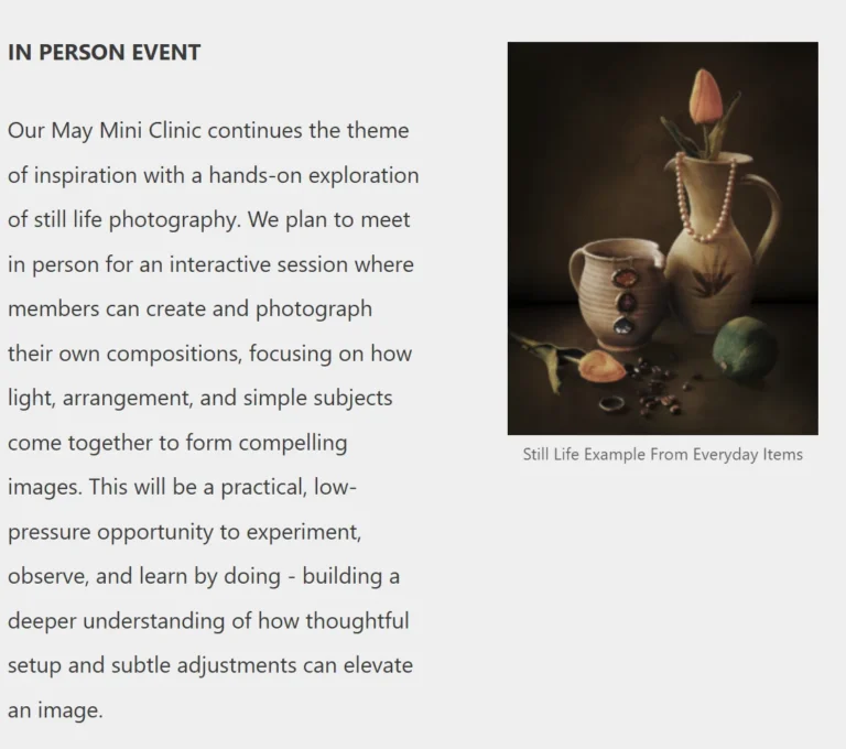 May Mini Clinic - Still Life Photography