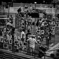 AlyssaRay_Amateur_FairTheme_2ndPlace