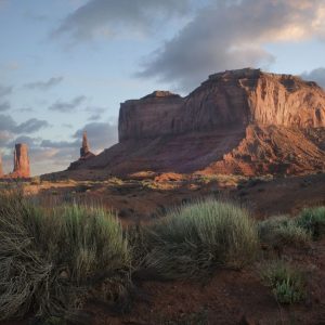 Bill-Scott-Open-1st-Place-POM Nov 2024