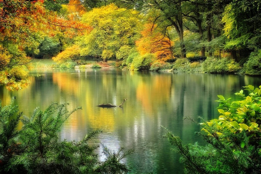 Bill-Scott-Open-2nd-Place-January POTM