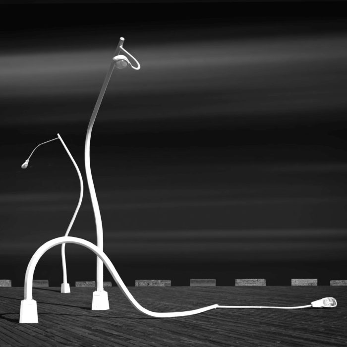 Bill Scott - Rule of Odds - 2nd Place - March 2026 - POTM