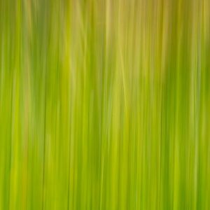 Byron Jorjorian - abstract