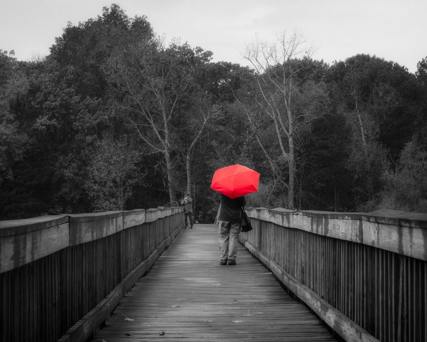 Diane-Burgett-Bridges-1st-Place-February 2025